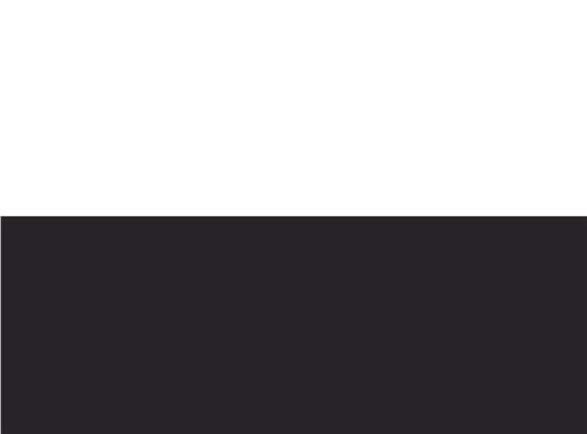 Swatch for White/ Graphite