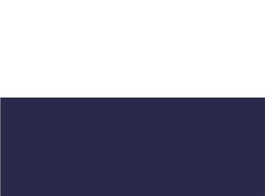 Swatch for White/ Navy