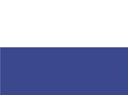 Swatch for White/ Royal