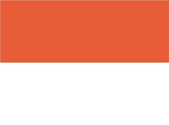 Swatch for Burnt Orange/ White