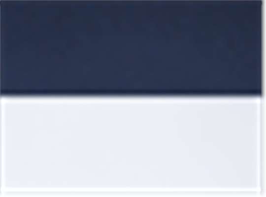 Swatch for Navy/ White