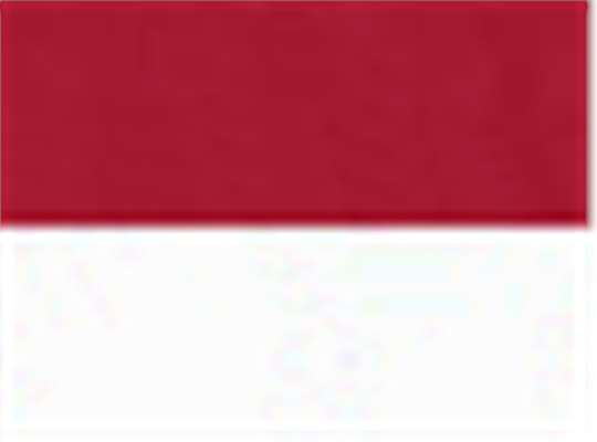 Swatch for Scarlet/ White