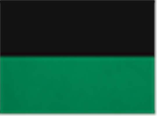Swatch for Black/ Kelly