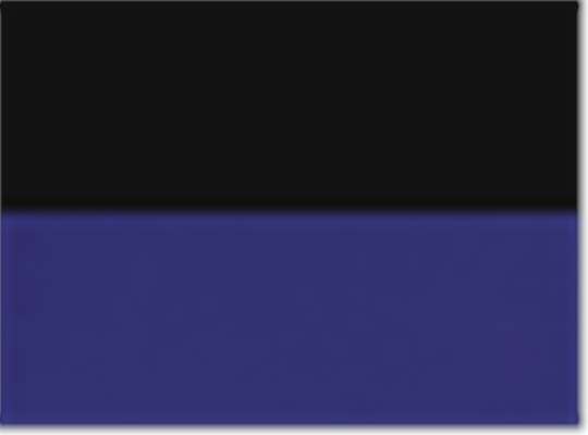 Swatch for Black/ Purple