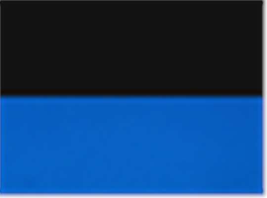 Swatch for Black/ Royal