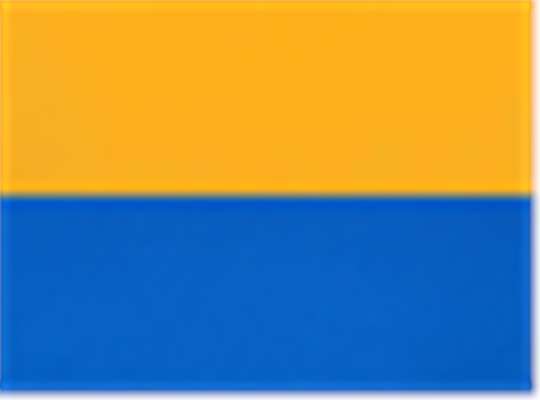 Swatch for Gold/ Royal