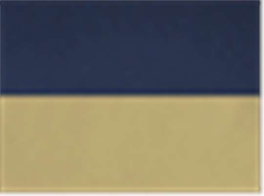 Swatch for Navy/ Vegas Gold