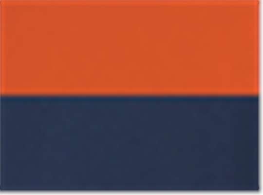 Swatch for Orange/ Navy