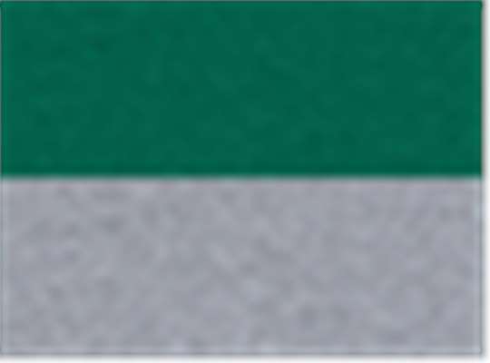 Swatch for Dark Green/ Athletic Heather