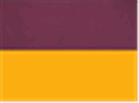 Swatch for Maroon/ Light Gold