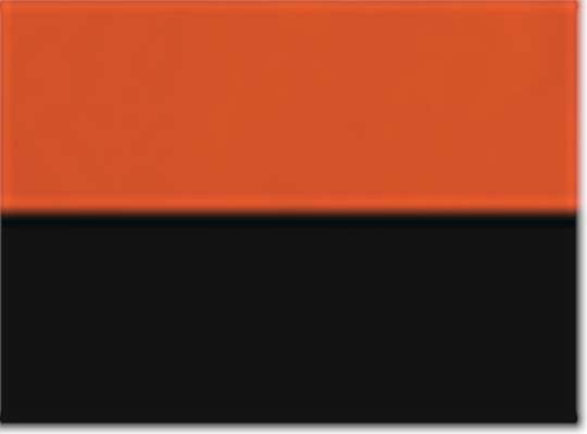 Swatch for Orange/ Black
