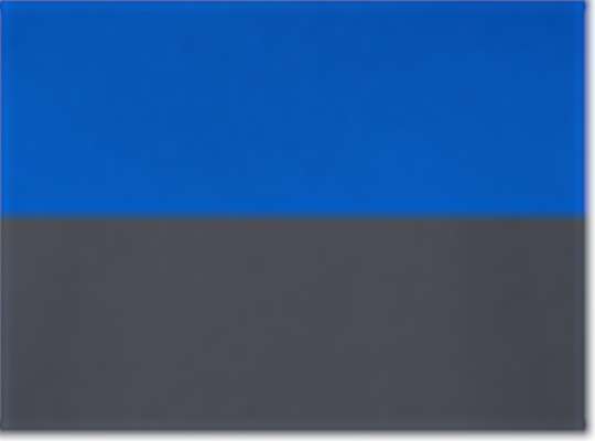 Swatch for Royal/ Carbon