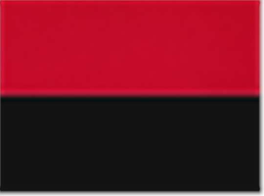 Swatch for Scarlet/ Black