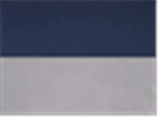 Swatch for Navy/ Athletic Grey