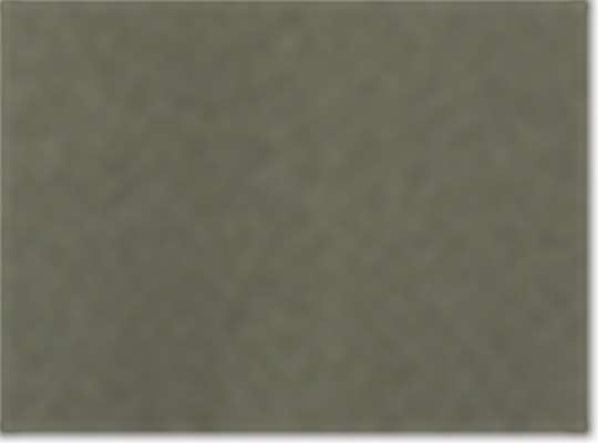 Swatch for Lieutenant