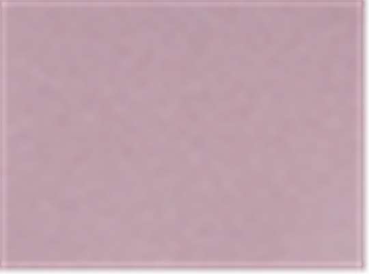 Swatch for Paragon