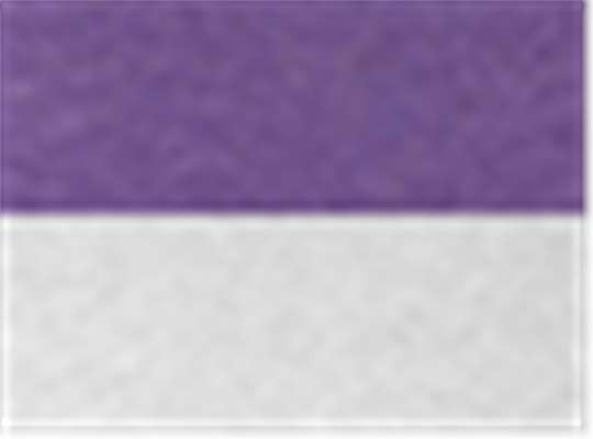 Swatch for Purple Rush Sleeves/ Heather White Body