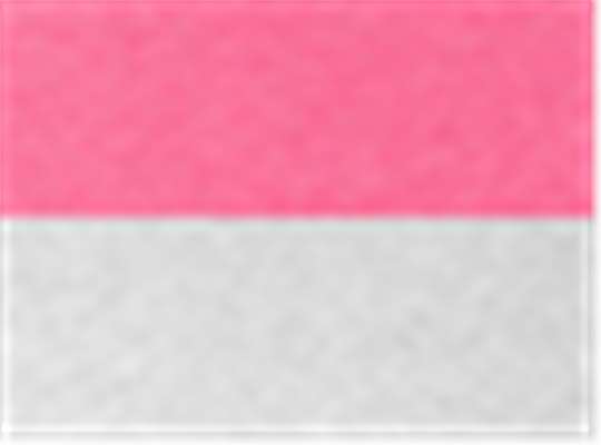 Swatch for Vintage Pink Sleeves/ Heather White Body