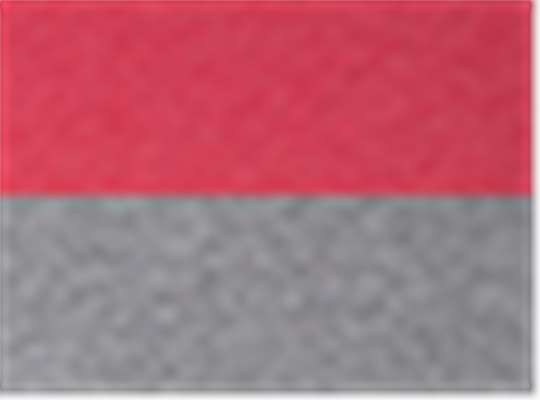 Swatch for Vintage Red Sleeves/ Premium Heather Body