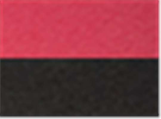 Swatch for Vintage Red Sleeves/ Vintage Black Body