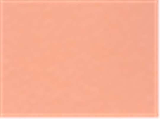 Swatch for Vintage Light Orange