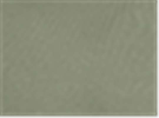 Swatch for Light Olive
