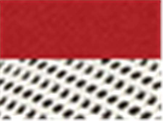 Swatch for Red/ Stone