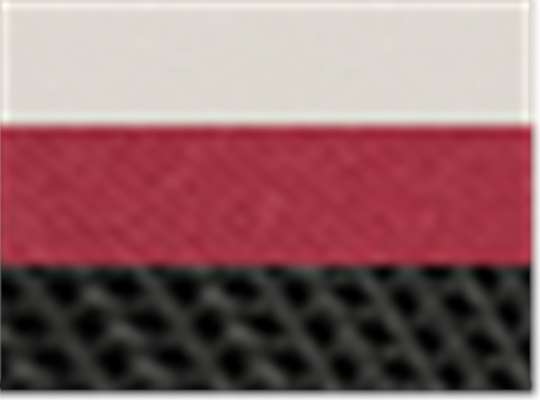 Swatch for White/ Burgundy/ Black