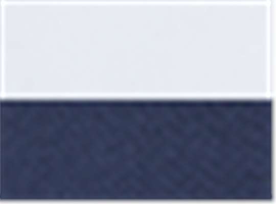 Swatch for White/ Light Navy