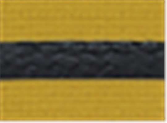 Swatch for Dijon/ Black