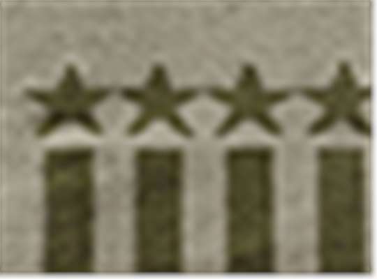 Swatch for Khaki/ Olive Stars