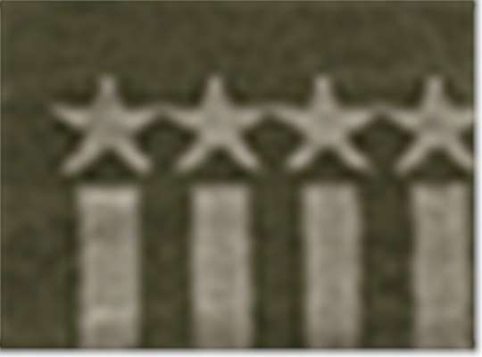 Swatch for Olive/ Khaki Stars