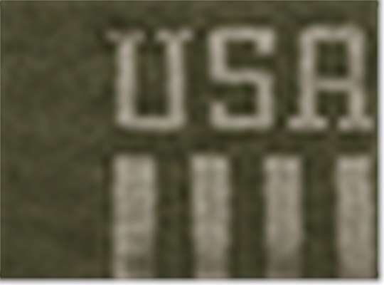 Swatch for Olive/ Khaki Usa
