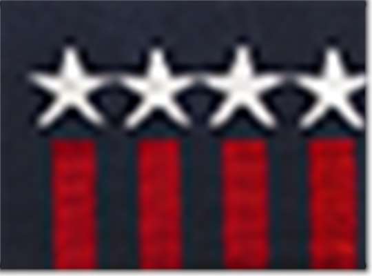 Swatch for True Navy/ White/ True Red Stars
