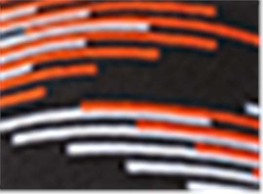 Swatch for Black/ Deep Orange/ White