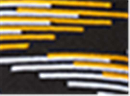 Swatch for Black/ Gold/ White