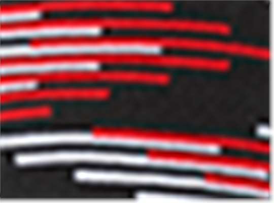 Swatch for Black/ True Red/ White