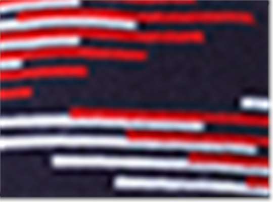 Swatch for True Navy/ True Red/ White