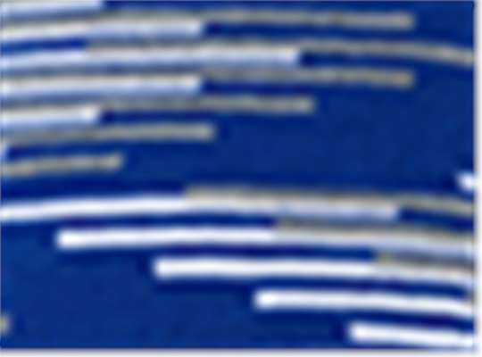 Swatch for True Royal/ Heather/ White