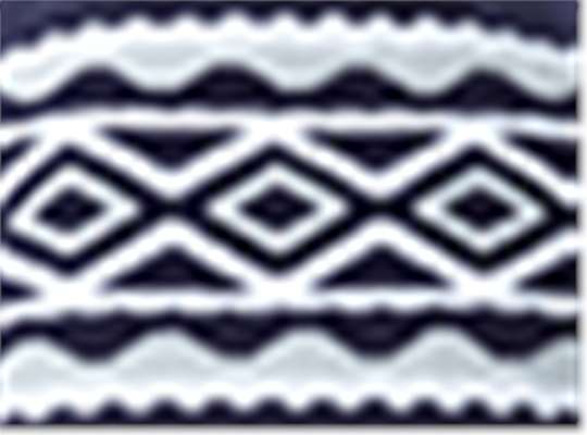 Swatch for True Navy/ Silver