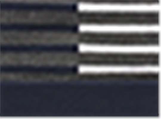 Swatch for True Navy/ White