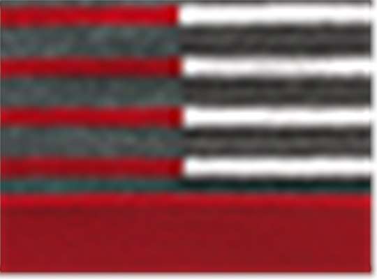 Swatch for True Red/ White