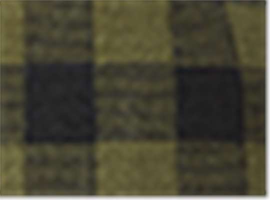 Swatch for Olive Green/ Black