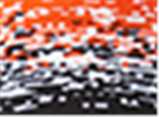 Swatch for Black/ White/ Deep Orange
