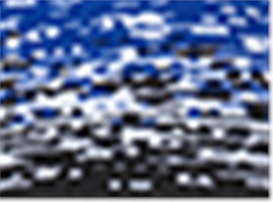 Swatch for Black/ White/ Royal