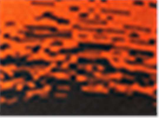 Swatch for Black/ Deep Orange