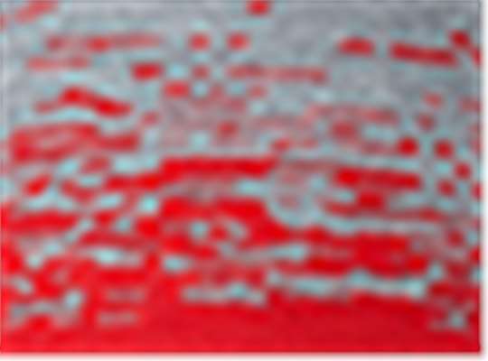 Swatch for True Red/ Heather