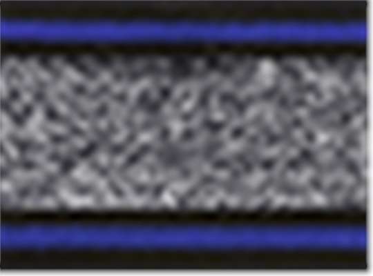 Swatch for Black/ True Royal