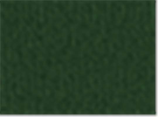Swatch for Forest Green