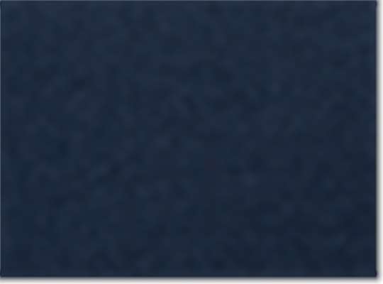 Swatch for Navy